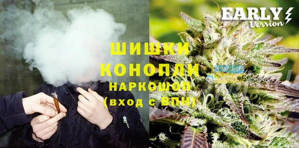 индика Нефтегорск