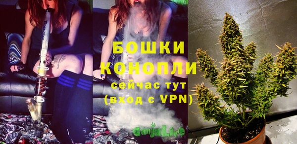 винт Нея
