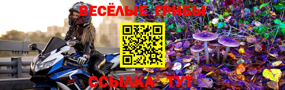 Карталы  Галлюциногенные грибы MAGIC MUSHROOMS  Вход с VPN 