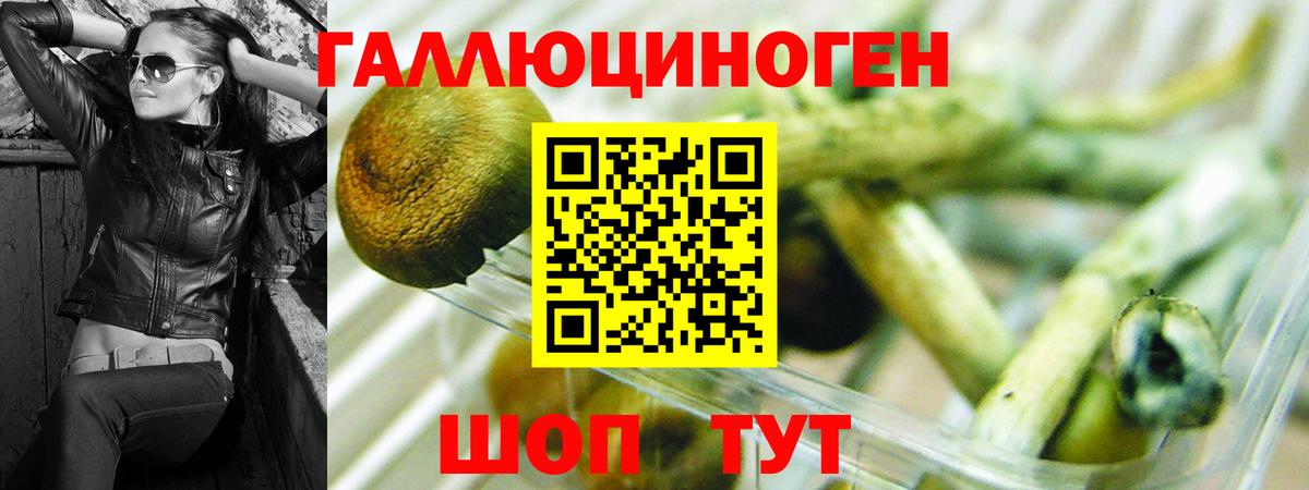 Псилоцибиновые грибы MAGIC MUSHROOMS Карталы